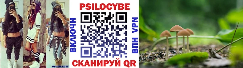 Галлюциногенные грибы Magic Shrooms ссылка на мегу как зайти Куса